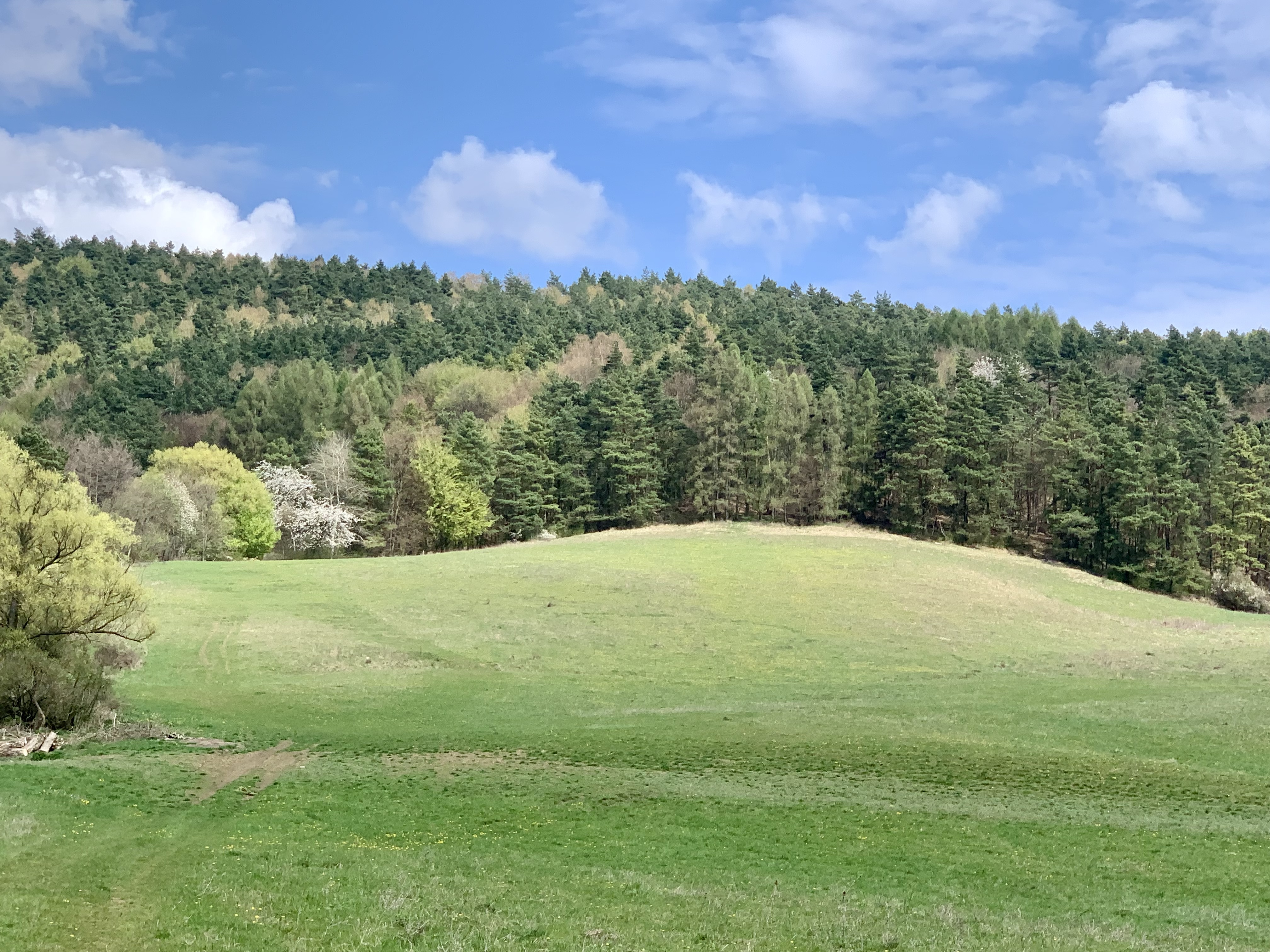 GARANT REAL predaj pozemok - poľnohospodárska pôda 135155 m2, Stuľany, okr. Bardejov