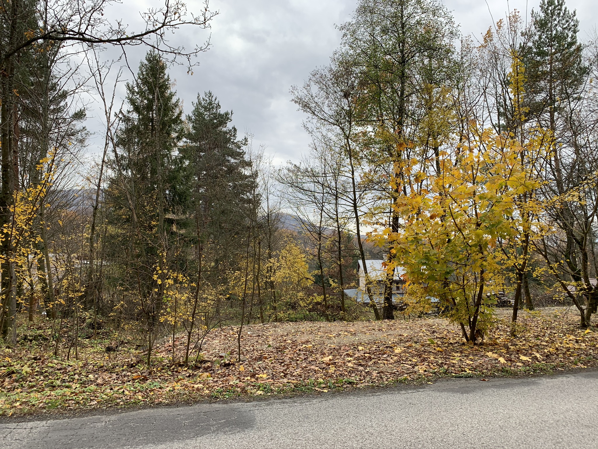 GARANT REAL predaj rekreačné pozemky  568 m2, 568 m2, 803 m2 Sigord, Kokošovce, okr. Prešov