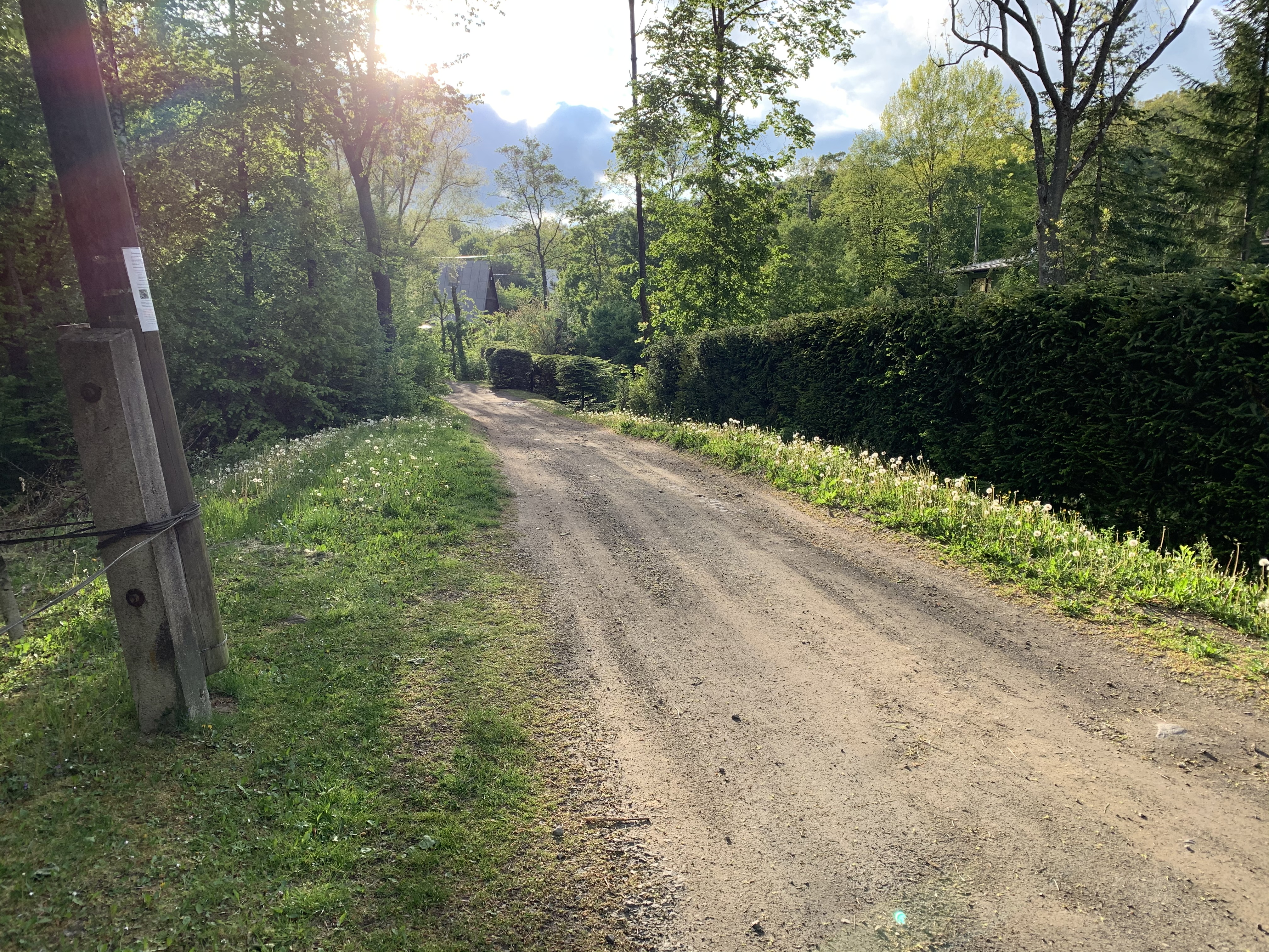 GARANT REAL predaj rekreačný, lesný pozemok 568 m2,Sigord, Kokošovce, okr. Prešov