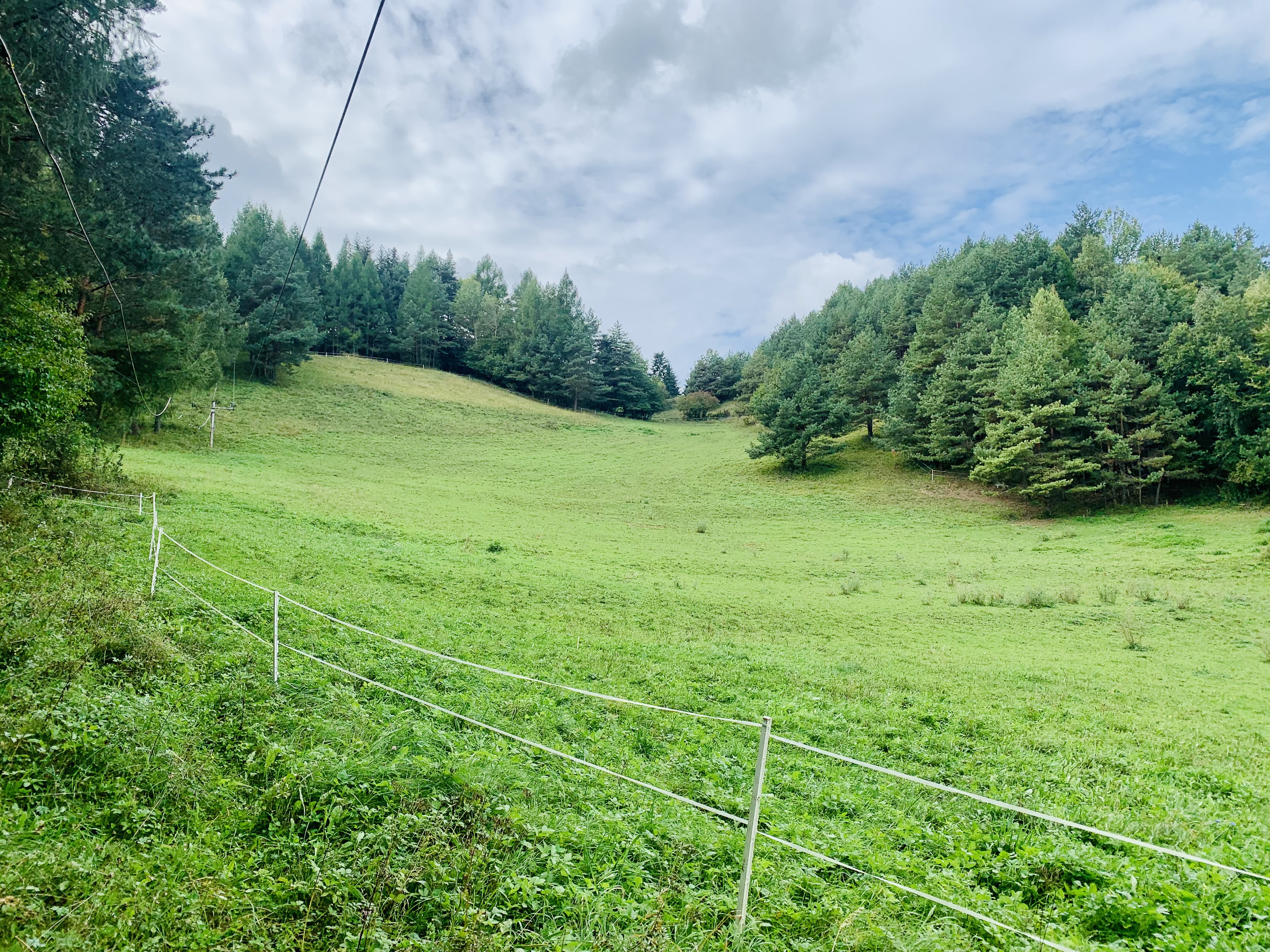 GARANT REAL predaj pozemok na rekreačné účely 1552 m2 Šindliar, okr. Prešov