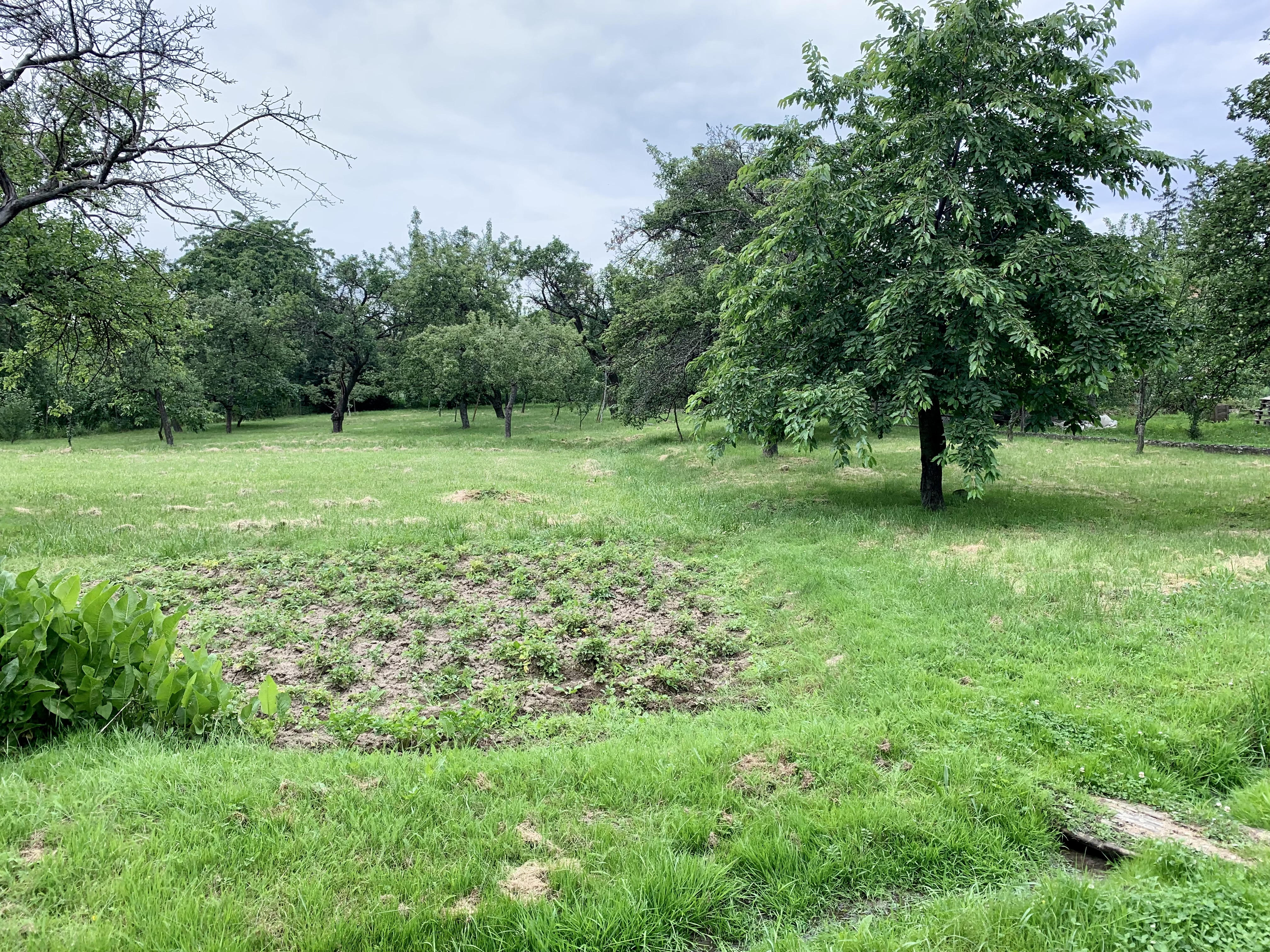 GARANT REAL predaj 2 stavebné pozemky 847 m2, 1191 m2, Žehňa okr. Prešov